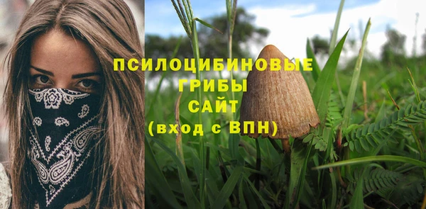 скорость Алексин
